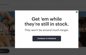 Exit Attempt Popup Example: Everlane