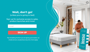 Exit Intent Popup Example: Lessa.com