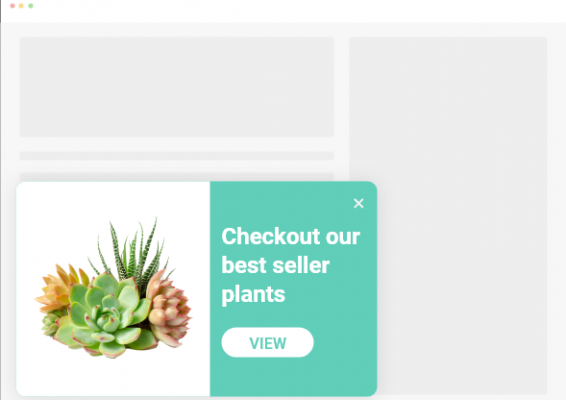 Create Popup Ads in Under 10 Minutes (Plus Best Practices)