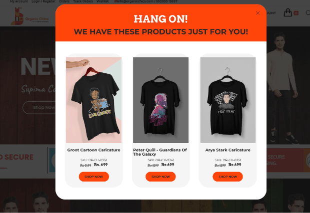eCommerce Popup Examples Organic Chics