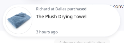 Recent Sales Notifications