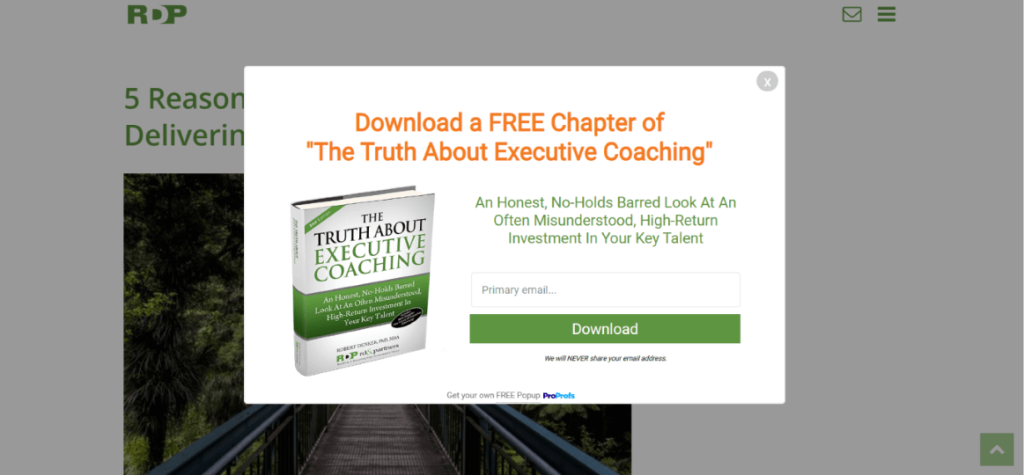 RDPUSA Lead Magnet Email Popup Example
