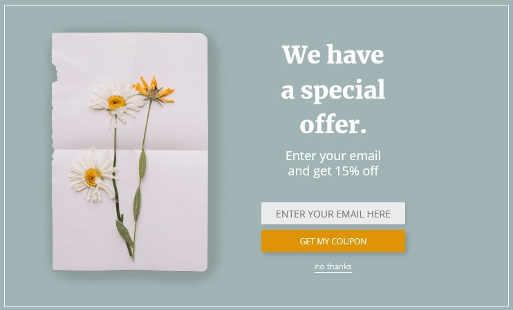 Email Capture Popup