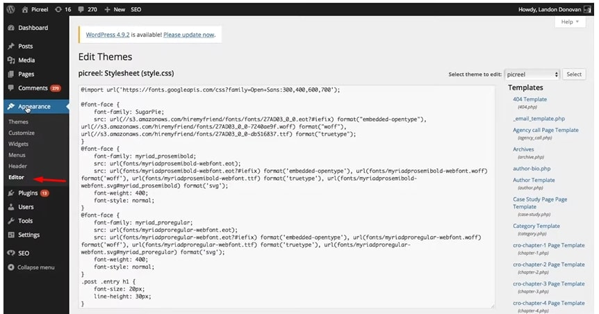 Navigate to "Appearance" and select "Editor