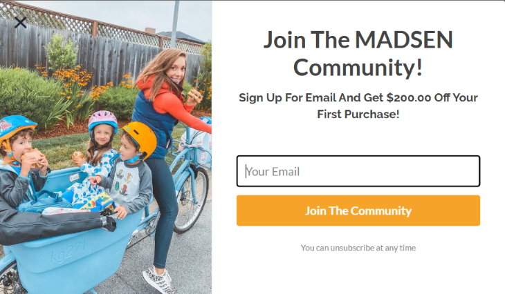Madsen Lead Generation (Email/Information Capture) exit intent popup example