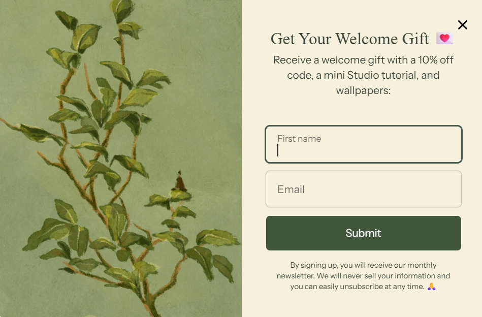 Mimochai Lead Generation (Valuable Content/Resources) exit popup example