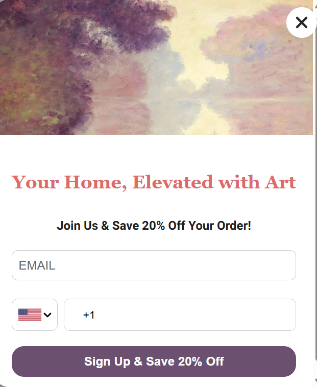 OverStockArt Discount exit intent Popup