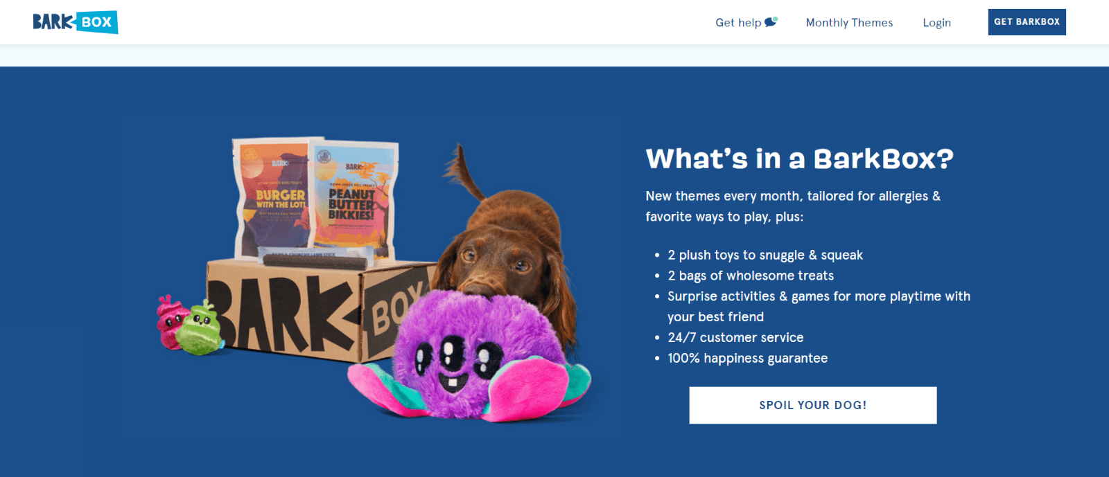 Monthly Box Subscriptions - BarkBox