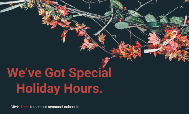 PIC Announcement WordPress Popup Template