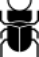 M.POLLO
