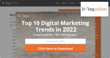 Living Online Witnessed a Weekly increase of 900% in email subscribers!